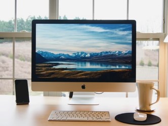 Computer Basics & Office Productivity